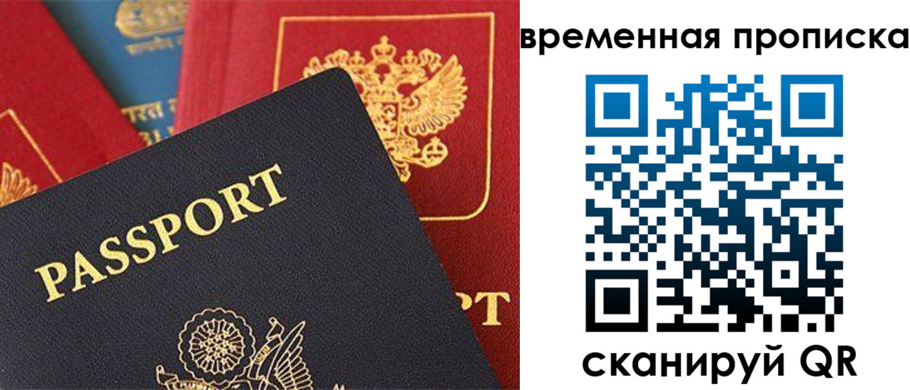 прописка для школы в Домодедово